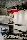Das war das Sommer­fest 2025 - Smino-SP-2025-10b